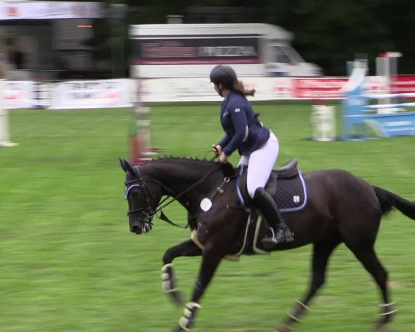 Reitturnier Borken 2019