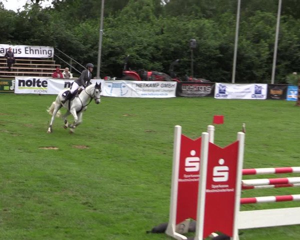 Reitturnier Borken 2019