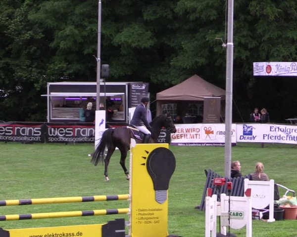 Reitturnier Borken 2019