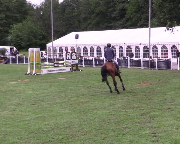 Reitturnier Borken 2019