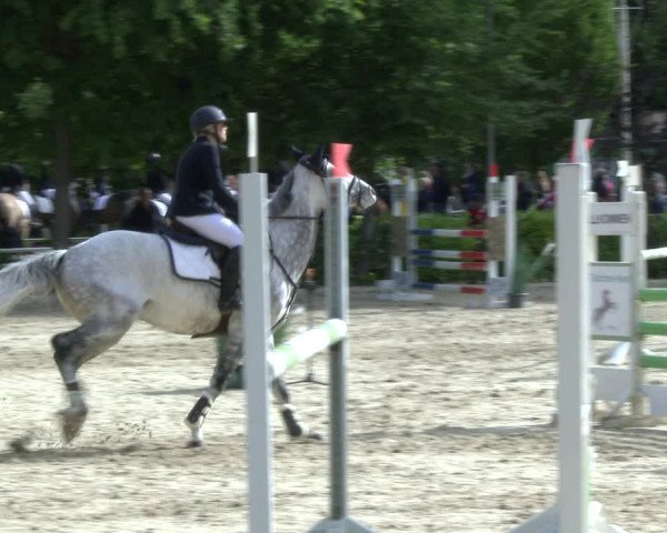 Reitturnier Bochum-Nord 2019