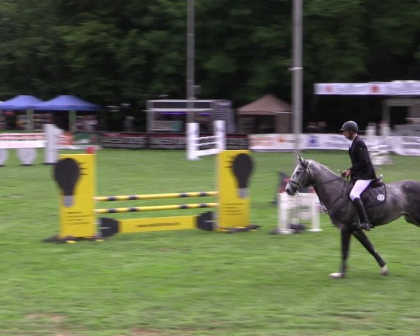 Reitturnier Borken 2019