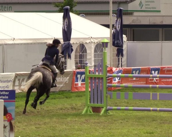 Reitturnier Rendsburg 2019