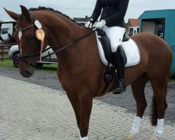 Dressurpferd Rosenthal's De Lailah (Oldenburger, 2010, von Dalhems Diomedes)