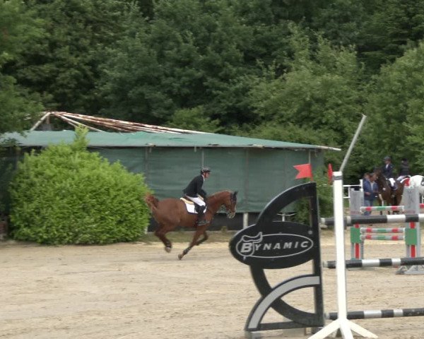 Reitturnier Bochum-Nord 2019