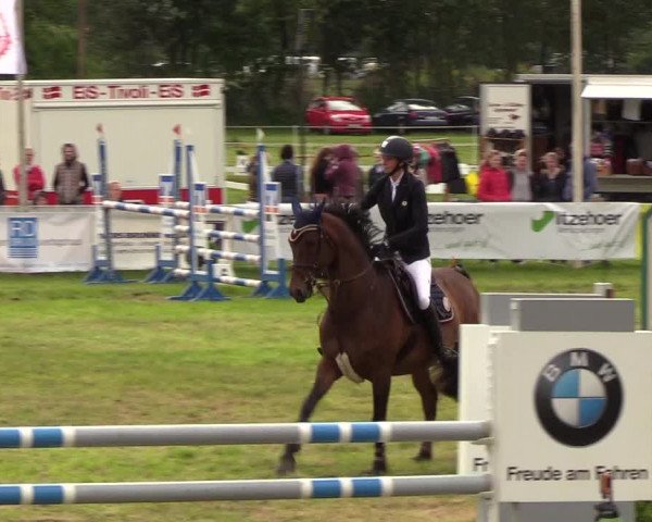 Reitturnier Rendsburg 2019