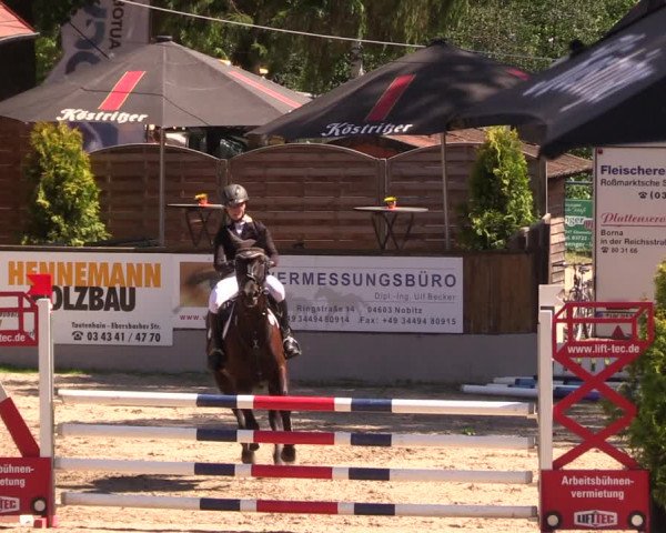 Reitturnier Lgl.-Oberhain, B95 2019