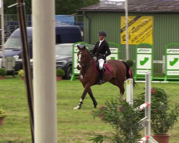 Reitturnier Rendsburg 2019
