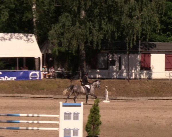 Reitturnier Lgl.-Oberhain, B95 2019