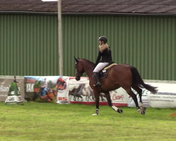 Reitturnier Rendsburg 2019