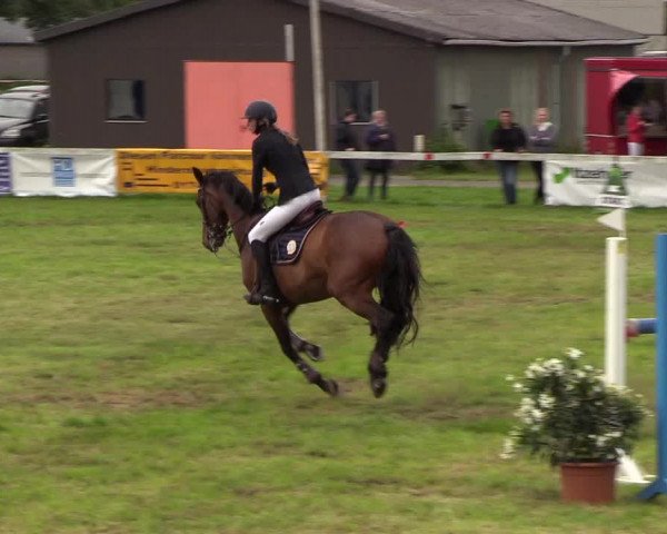 Reitturnier Rendsburg 2019