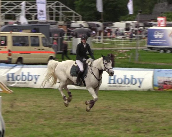 Reitturnier Rendsburg 2019