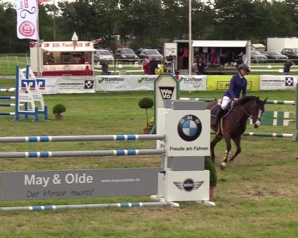 Reitturnier Rendsburg 2019