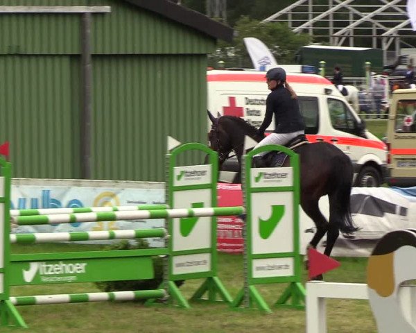 Reitturnier Rendsburg 2019