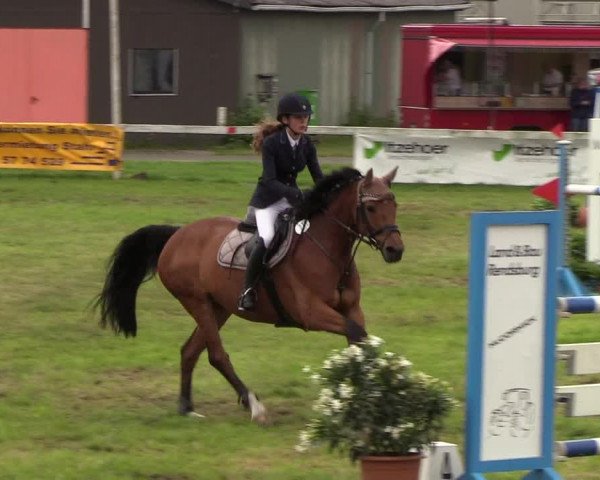 Reitturnier Rendsburg 2019