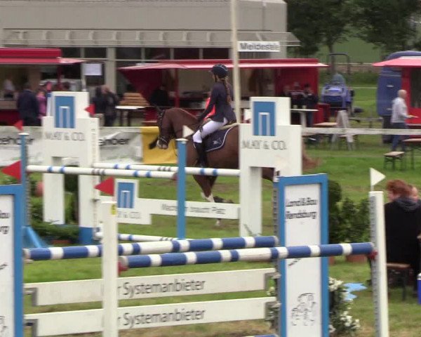 Reitturnier Rendsburg 2019