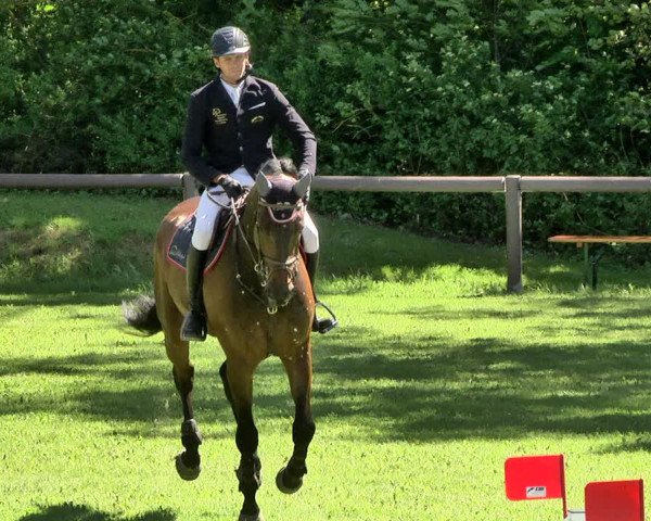 Reitturnier Jettingen 2019