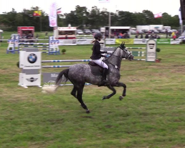 Reitturnier Rendsburg 2019