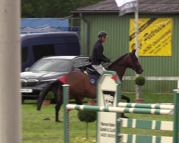 Reitturnier Rendsburg 2019