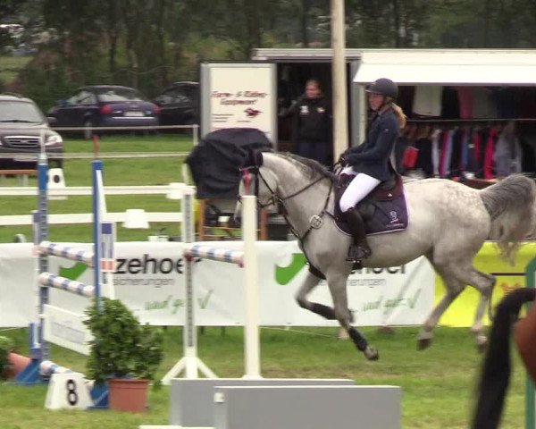 Reitturnier Rendsburg 2019