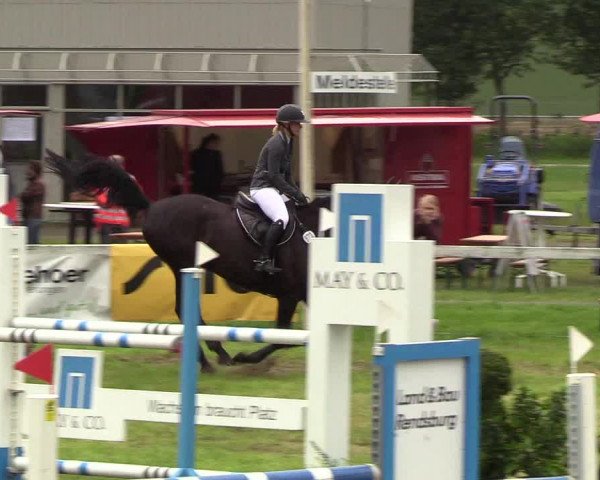 Reitturnier Rendsburg 2019