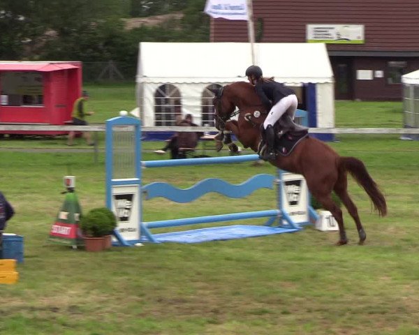 Reitturnier Rendsburg 2019