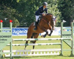 jumper Lazarus S (German Sport Horse, 2010, from Lagazoui)