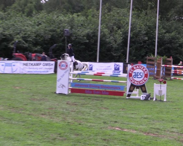 Reitturnier Borken 2019