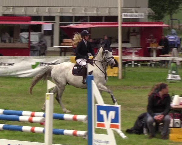 Reitturnier Rendsburg 2019