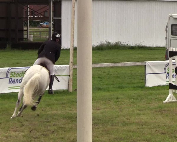 Reitturnier Rendsburg 2019
