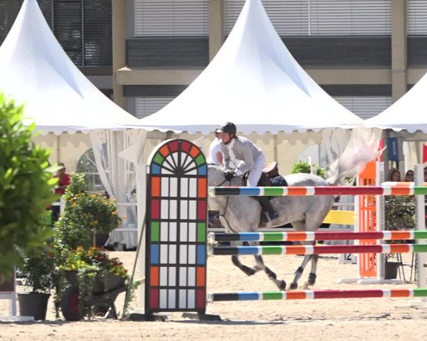 Reitturnier Zug 2019