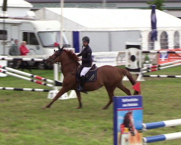 Reitturnier Rendsburg 2019
