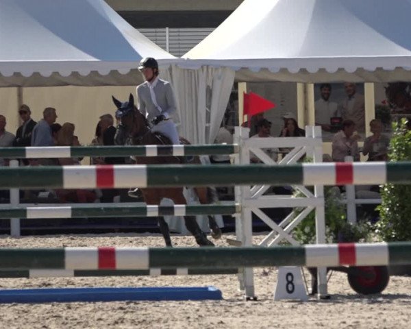 Reitturnier Zug 2019