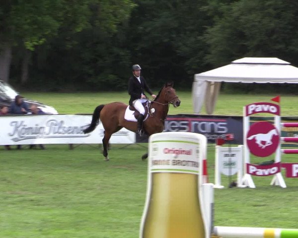 Reitturnier Borken 2019