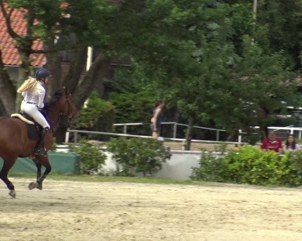 Reitturnier Bochum-Nord 2019