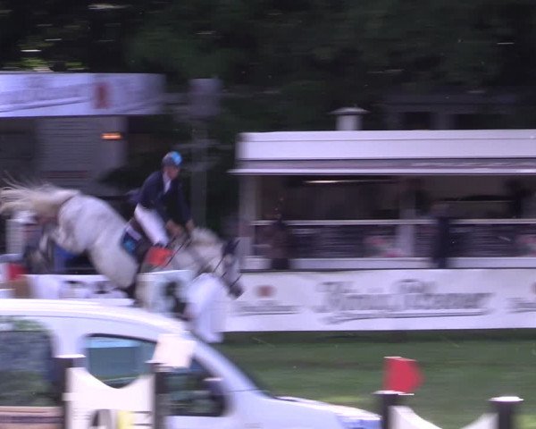 Reitturnier Borken 2019