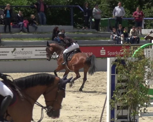 Reitturnier Zeiskam 2019