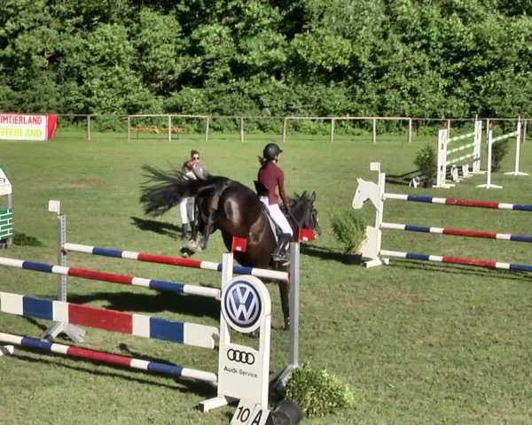 Reitturnier Jettingen 2019