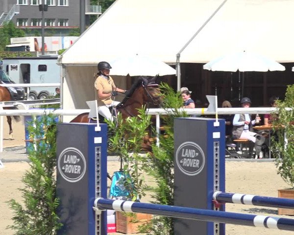 Reitturnier Münsingen 2019