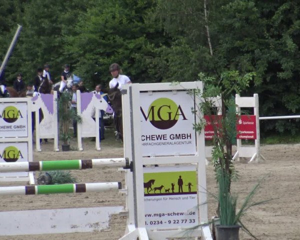 Reitturnier Bochum-Nord 2019