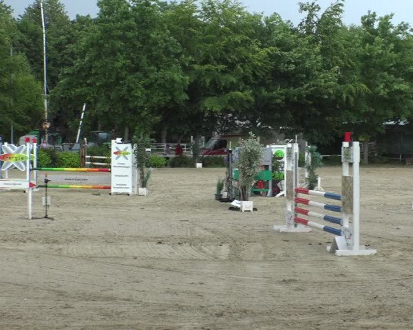 Reitturnier Bochum-Nord 2019