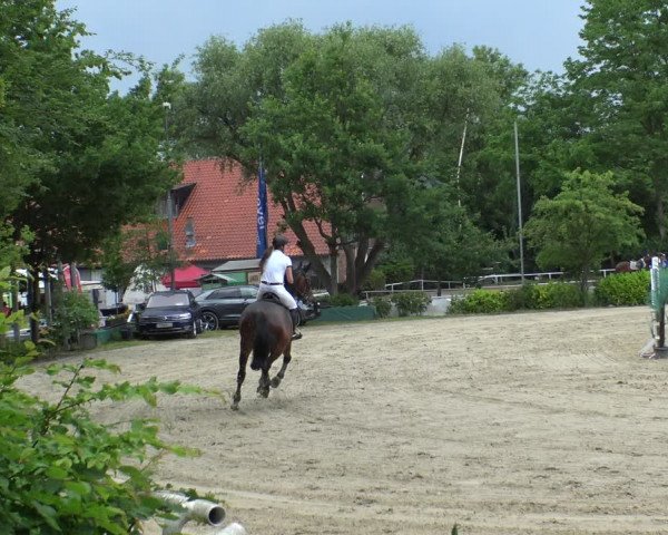 Reitturnier Bochum-Nord 2019