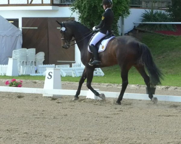 Reitturnier Nußloch 2019