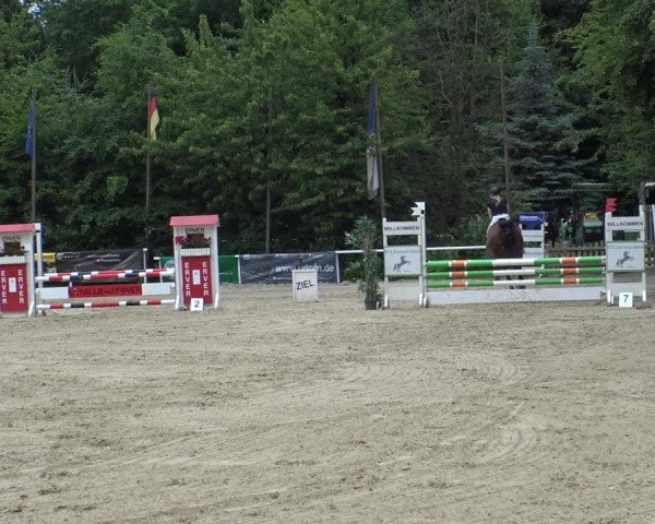 Reitturnier Bochum-Nord 2019