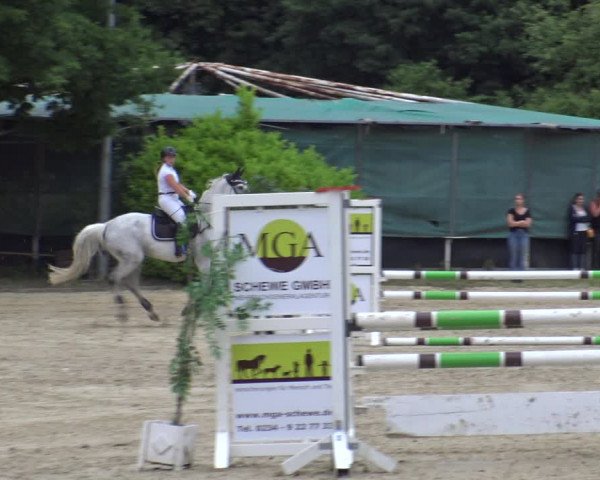 Reitturnier Bochum-Nord 2019