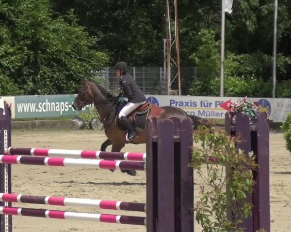 Reitturnier Zeiskam 2019
