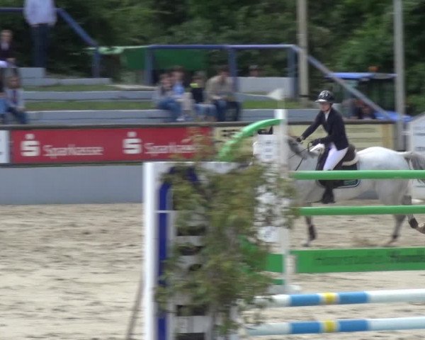 Reitturnier Zeiskam 2019