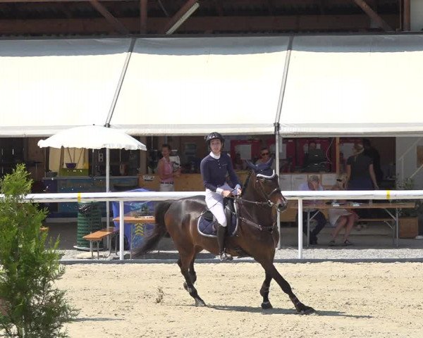 Reitturnier Münsingen 2019