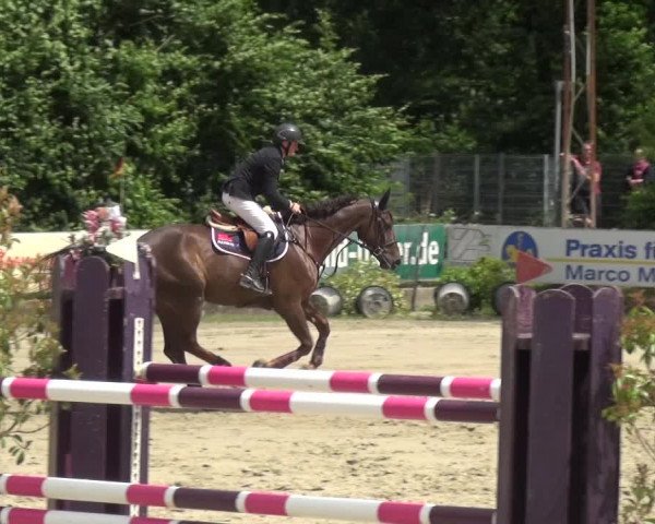 Reitturnier Zeiskam 2019