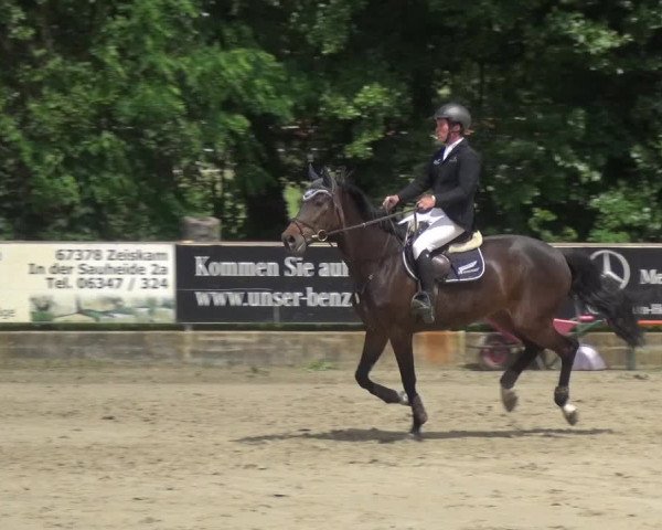 Reitturnier Zeiskam 2019